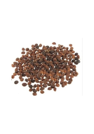 Ispanak Tohumu 100 G