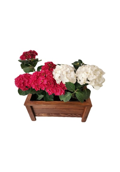 Ahşap Saksı Orta Boy 50x30x27 001