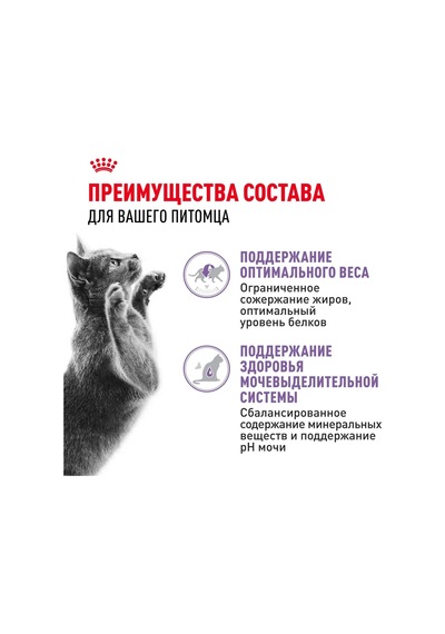 Royal Canın Sterilised Jöleli Kedi Maması, 28 X 85 Gr 194009963