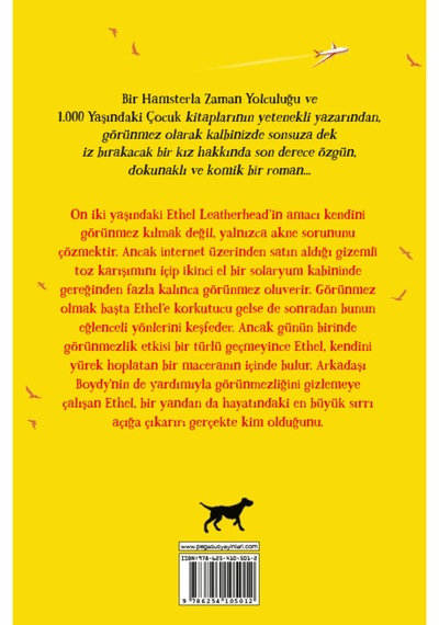 Görünmez Olduğunuzda Asla Yapmamanız Gereken Şeyler Ross Welford