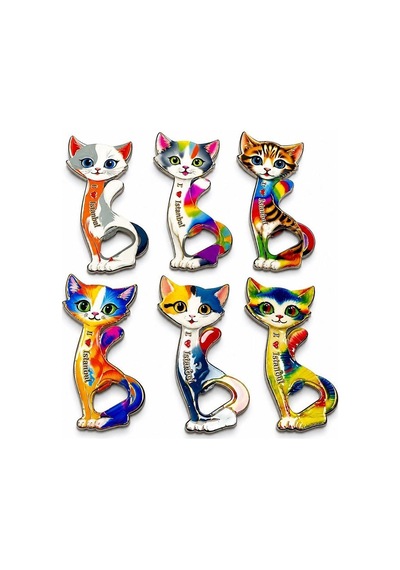 Tedar Kedi Tasarımı İstanbul Temalı Buzdolapı Süsü Magnet Alk5409 Najmaddin Standart