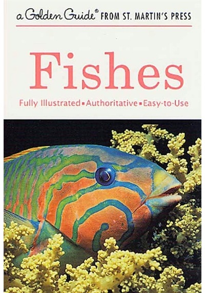 Fishes A Guide To Fresh- And Salt-water Species - Golden Guide Fr