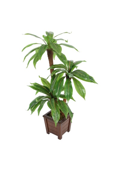 Bodur Yapay Ağaç Cordyline 105 Cm Model 2