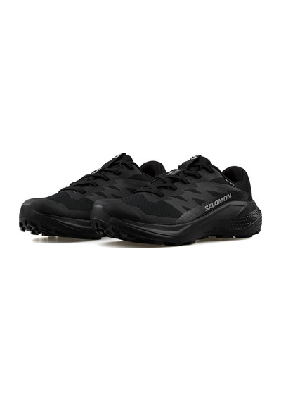 Salomon Alphaglıde Gtx W Kadın Outdoor Spor Ayakkabı 492144 Siyah