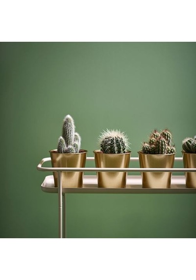Ikea Daıdaı Çelik Saksı, Pirinç Rengi 02299324