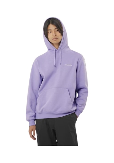 Salomon Salomon Logo Hoodıe M 51143 Çok Renkli