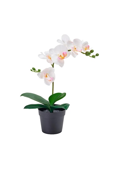 Ikea Fejka Serisi, Yapay Bitki, 9 Cm, Beyaz Pembe
