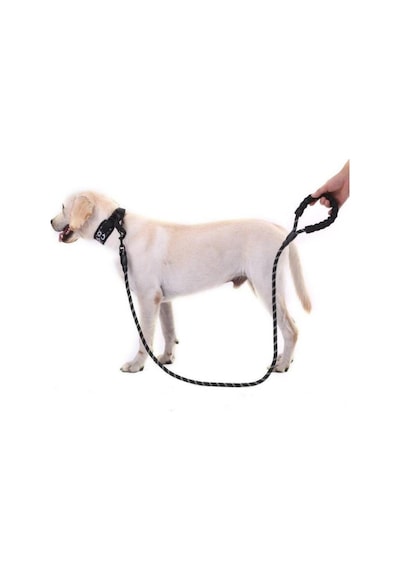 Köpekler İçin Gezdirme Tasması Reflektörlü 130 cm Halat Orta ve Büyük Boy Köpekler İçin Siyah