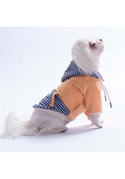 Somon Sera Stripe Köpek Hoodie Köpek Sweat Köpek Kıyafeti Kedi Kıyafeti