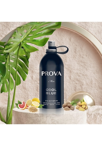Cool Blue Edp Erkek Parfüm 120 Ml Diğer