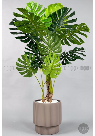 Biçiçek Yapay Monstera Ağacı Deve Tabani 160 Cm Mocha Vega Saksıda