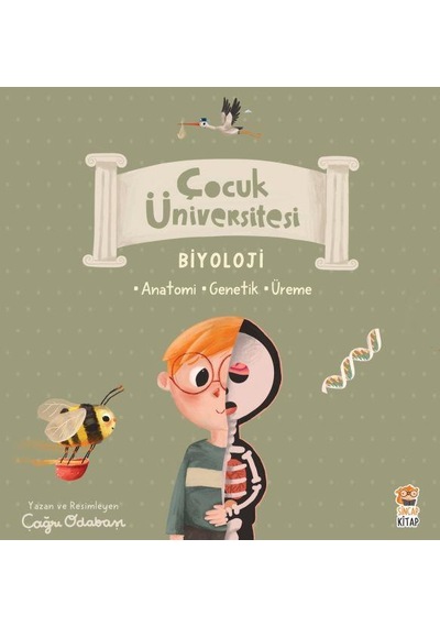 Sincap Kitap Çocuk Üniversitesi Biyoloji Set 3  Kitap
