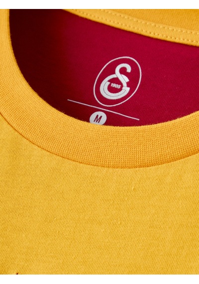 Gsstore Galatasaray Erkek T-shirt E261040 Sarı - Kırmızı