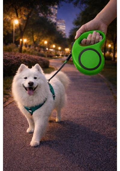 5 Metre Otomatik Geri Sarımlı Köpek Gezdirme Tasması, Dayanıklı Retractable Pet Leash, Ergonomik Kaymaz Tutma Sapı, Güçlü Metal Klips, Küçük Orta Irk Evcil Hayvanlar İçin Yeşil Diğer