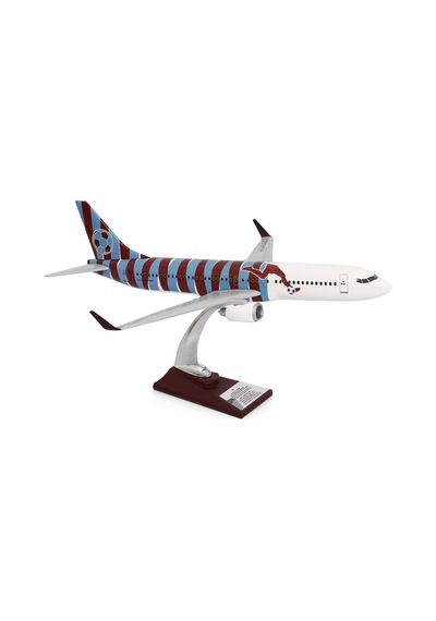 Zekupp Boeing 737-800 Bordo Mavi Taraftar Özel Tasarımlı 1/100
