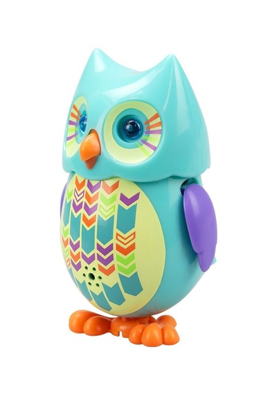 Mini Hoot Baykuş Asorti Turkuaz