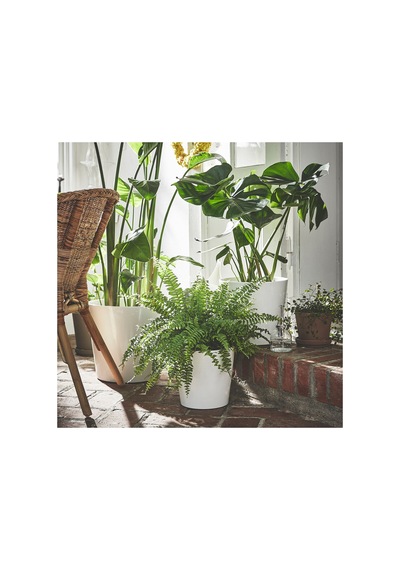 Ikea Sojaböna Toprak Saksı 32 Cm Beyaz