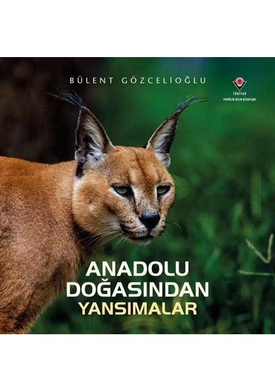 Anadolu Doğasından Yansımalar Karton Kapak / Bülent Gözcelioğlu
