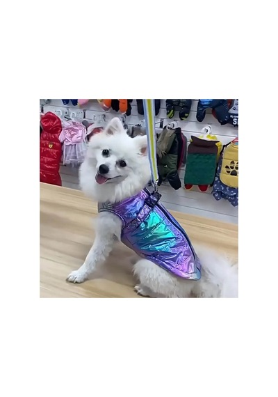 Kedi Ve Köpek İçin Su Geçirmez Reflektif Gradyan Yelek