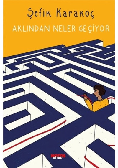 Aklından Neler Geçiyor - Şefik Karakoç - Notos