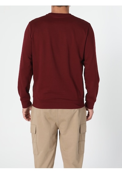 Colin's Regular Fit Kabartmalı Yazı Turuncu Erkek Sweatshirt cl1055790_Q1.V2_COR Kahverengi