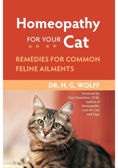 Homeopathy For Your Cat: Remedies For Common Feline Ailments