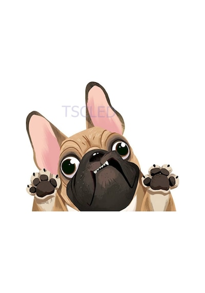 Fransız Bulldog Araba Sticker Çıkartması