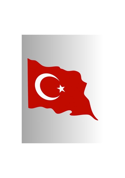 Ayyıldız Bayrak Dalgalı 8cm Sticker Etiket