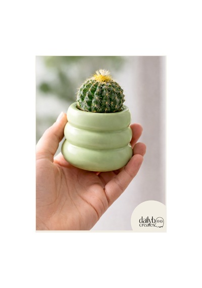 Dekoratif Donut Saksı-çiçek,bitki,kaktüs,sukulent Saksısı-modern Tarz Saksı