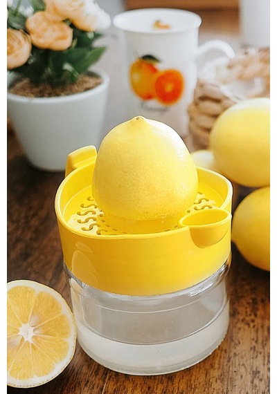 Cam Limon Sıkacağı Gore Diğer