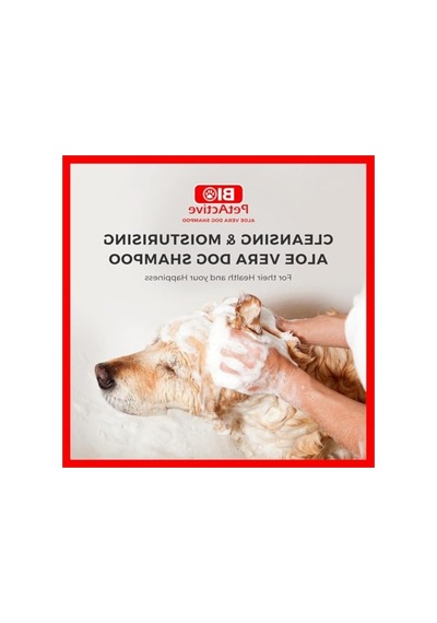 Aloe Vera Özlü Köpek Şampuanı, 400 Ml, Doğal Bakım