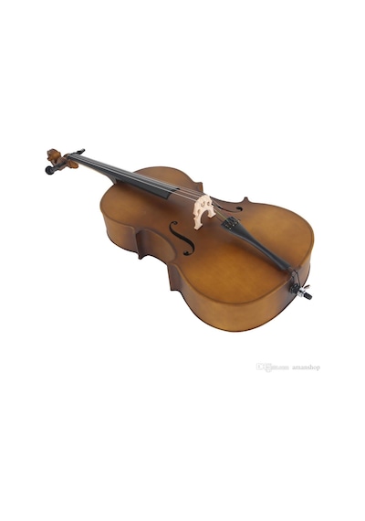 Swing C101fm Mat Cila 4/4 Tam Boy Student Model Çello Seti