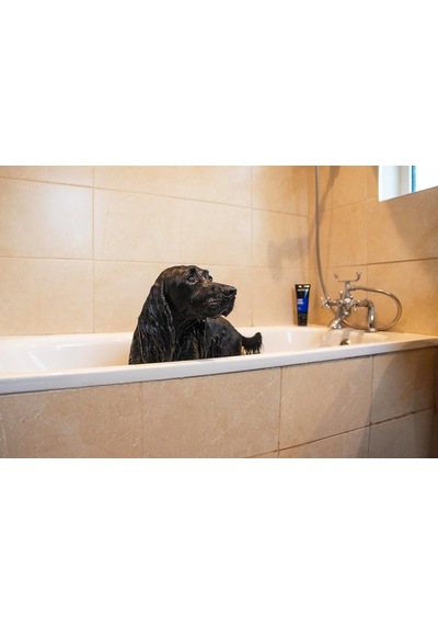 Animology Top Dog Conditioner Köpek Tüy Kremi 250 Ml