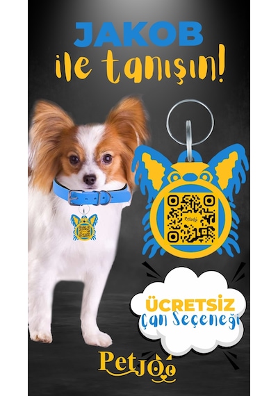 Petjoo 8.Jakob Sarı-Mavi Qr'lı Köpek Künyesi