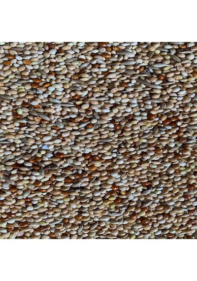 K. Muhabbet Kuş Yemi 5 Kg B 302.5