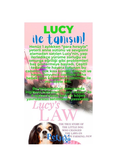 Petjoo 11.Lucy Mavi-Yeşil Qr'lı Köpek Künyesi