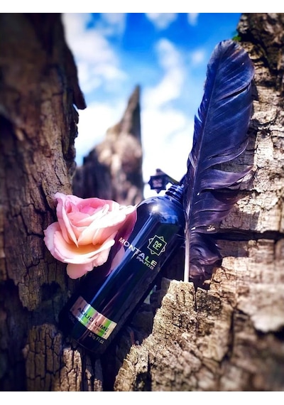 Montale Aoud Lime Edp 100 Ml Unisex Parfüm Odunsu