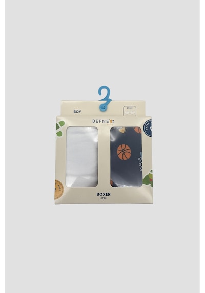 Defne Baby Erkek Çocuk Desenli Premium Pamuklu 2'li Boxer Seti Çok Renkli