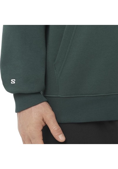 Salomon Freestyle Hoodıe 22889 Yeşil