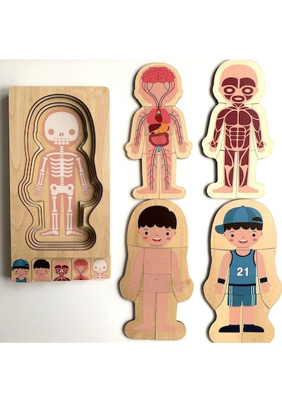 Montessori Waldorf Öğrenme Ahşap Erkek Insan Vücudu Anatomisi Puzzle