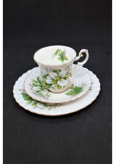 Trillium Bone China Porselen Duble Kahve Fincanı Ve Tabakları 3 Parça 120 Ml Yeşil