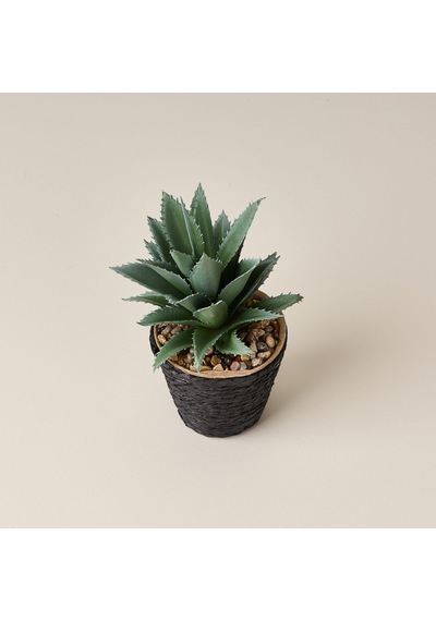 Deco Saksılı Yapay Sukulent - Bej / Yeşil - 15x9 Cm Çok Renkli