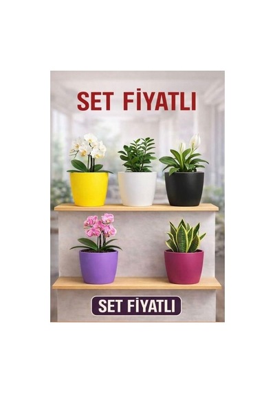 Hüskon Ticaret 5'li Orkide Dekoratif Saksı Seti Kırılmaz Plastik 1.25 L 12.5 Cm Çap 15 Cm Yükseklik Renkli