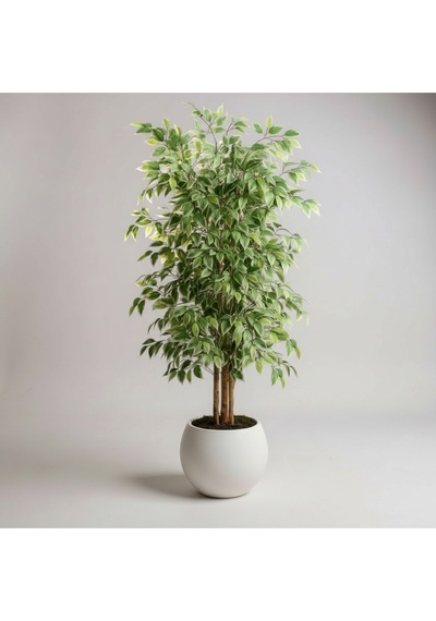 Yapay Ficus Ağaç 150 Cm Beyaz Küre Saksı Yeşil