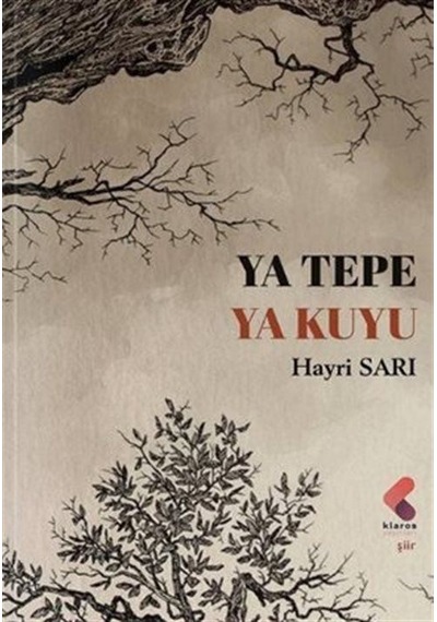 Ya Tepe Ya Kuyu / Hayri Sarı