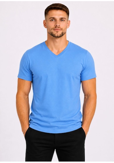Axxel Erkek Mavi Pamuklu V Yaka Kısa Kollu T-shirt-d804