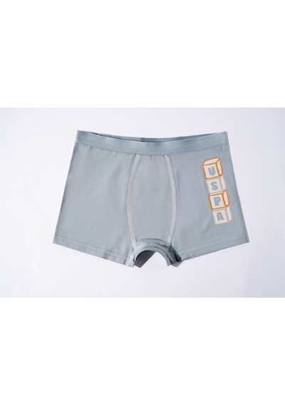 U.S. Polo Assn. Erkek Çocuk Krem İç Giyim 5274-49093 Bej-soft Yeşil