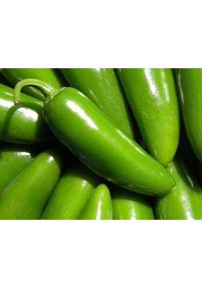 Acı Jalapeno Biberi Meksika Biberi Tohumu Biber Tohumu 5 Tohum