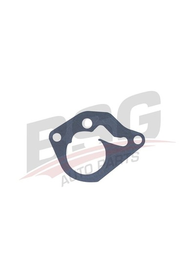 Bsg Vakum Pompa Contası - Kangoo 00-