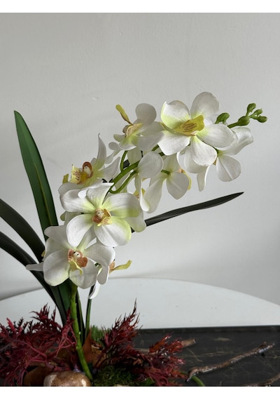 Lüks Yapay Beyaz Phalaenopsis Orkide Aranjmanı Şık Kavisli Kütük Ve Kristal Kayaç Detaylı
